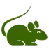 banner icon